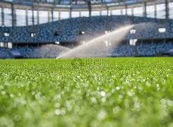 吴君如女儿,陈可辛千金,入读美国顶,立博体育官网,立博体育直播,体育赛事直播,足球直播