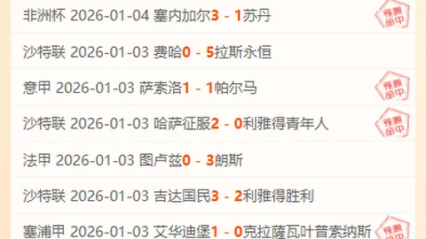 独家福利大放送！揭秘荷兰杯：强队对决，悬念重重，差距究竟有多大？